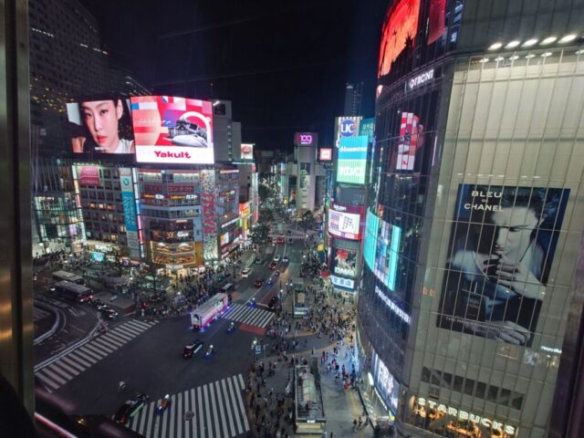 Japan Lynx Tour 2 010