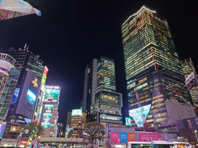 Japan Lynx Tour 2 011